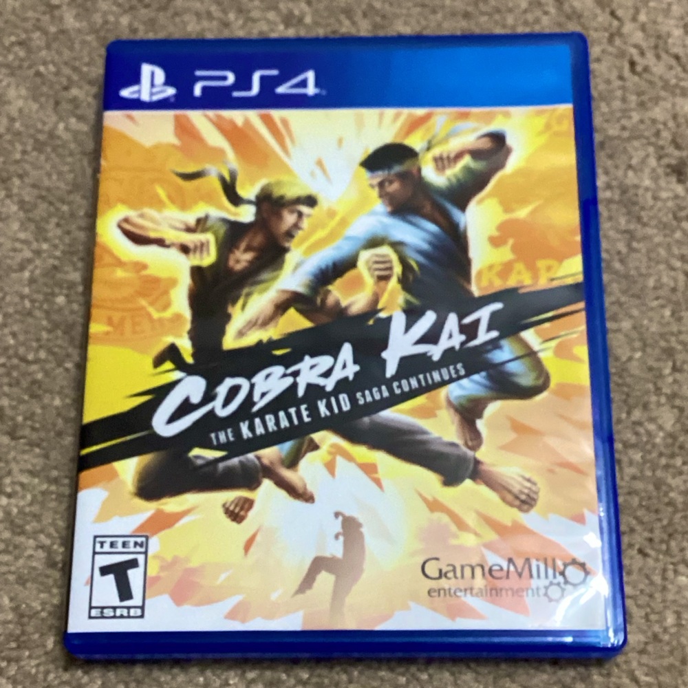 Cobra Kai Ps4 Game